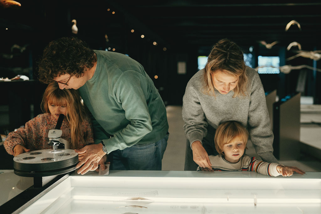 Exhibition on bird migration