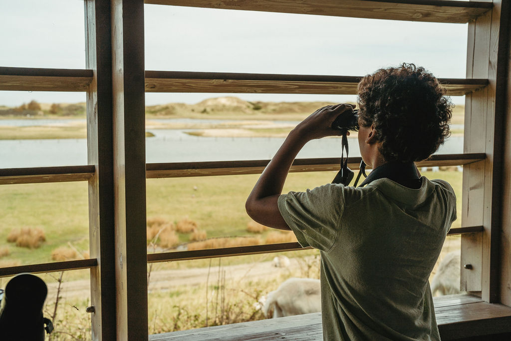 Cabane d'observation