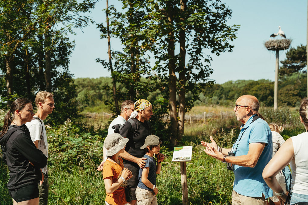 begeleide wandelingen