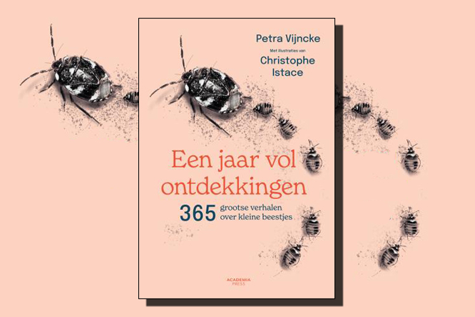 boekvoorstelling