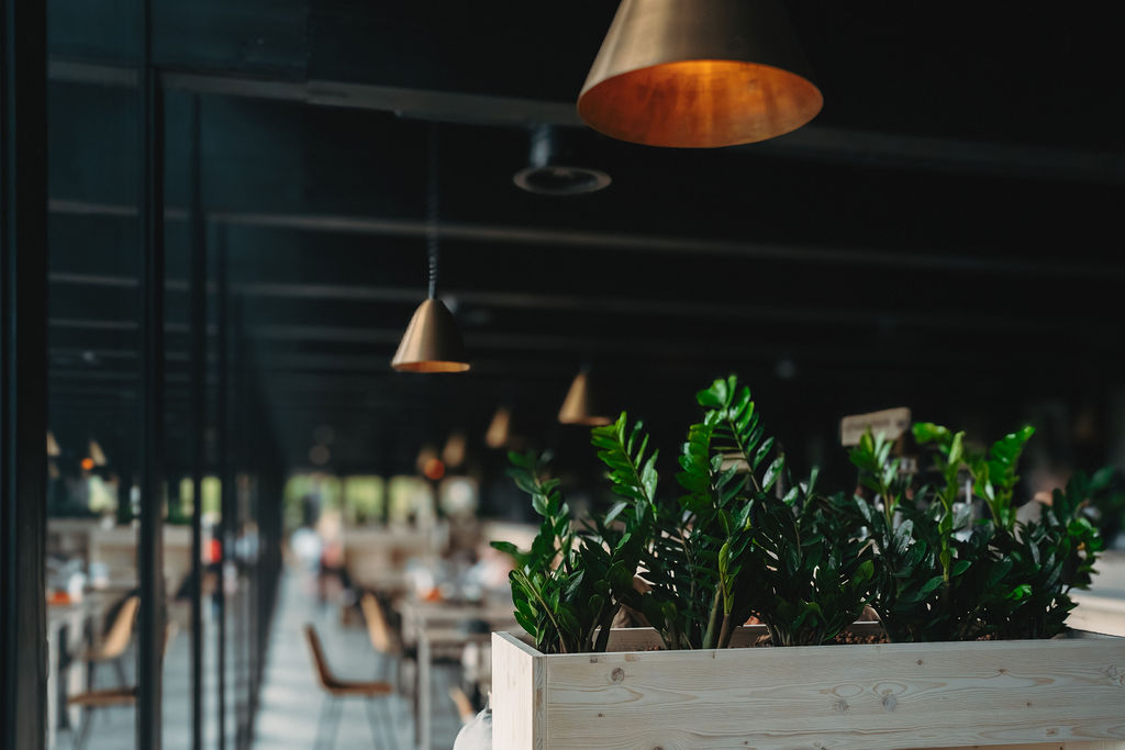 Nest Zwin Bistro