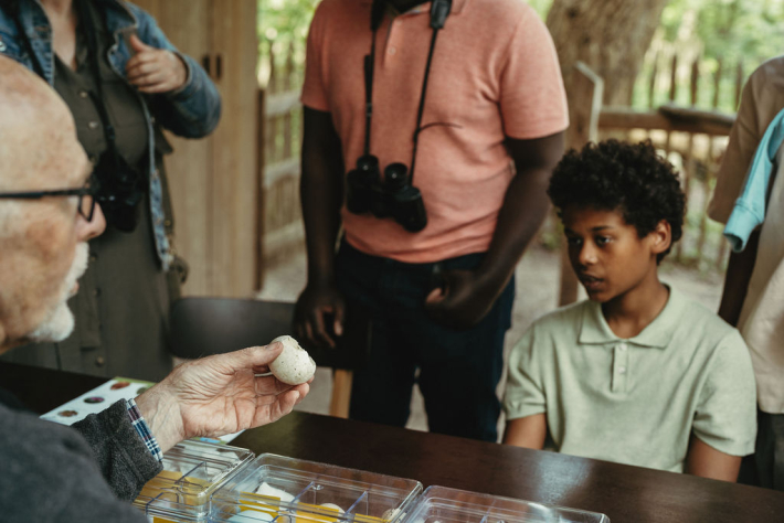 Présentation des œufs