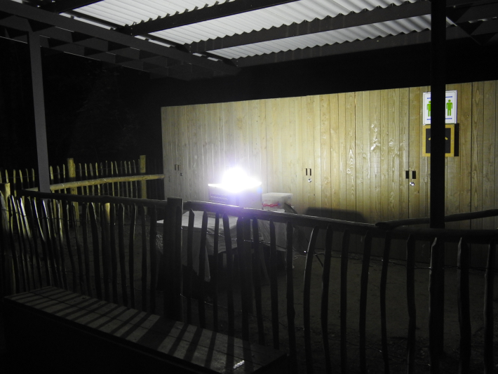 lichtval nachtvlinders