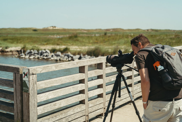 start-to-birdwandeling