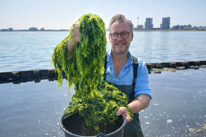 zeewierchef