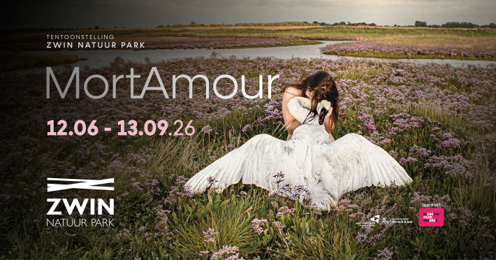 mort amour