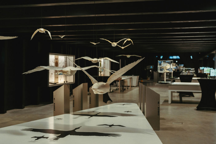 tentoonstelling