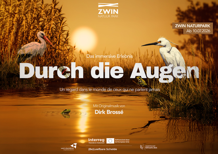 Durch die Augen