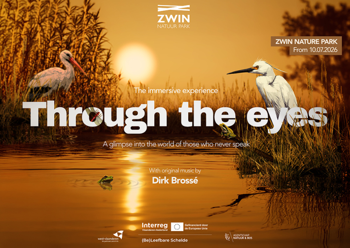 through the eyes