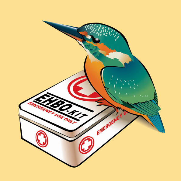 gekwetste - gewonde vogels