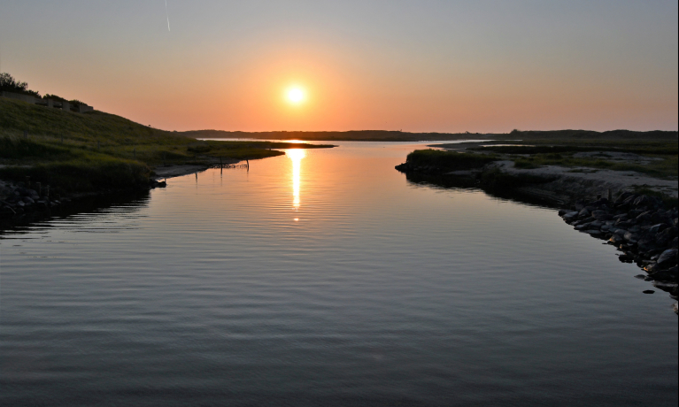 Avondwandeling