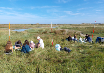 biodiversiteit planten