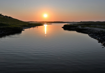 Avondwandeling