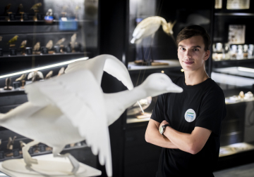 jobstudent Zwin Natuur Park