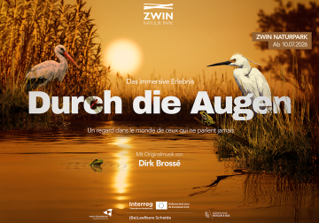 Durch die Augen
