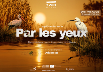 Par les yeux